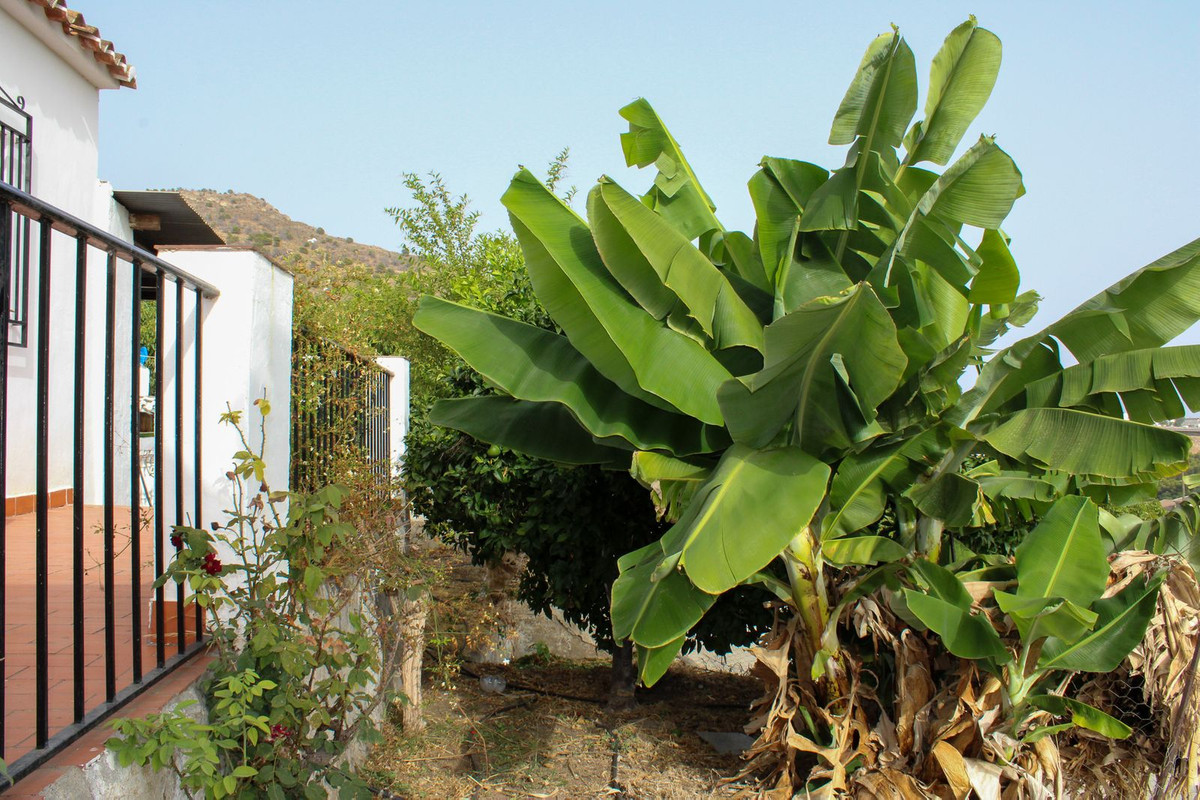 Property main view 29