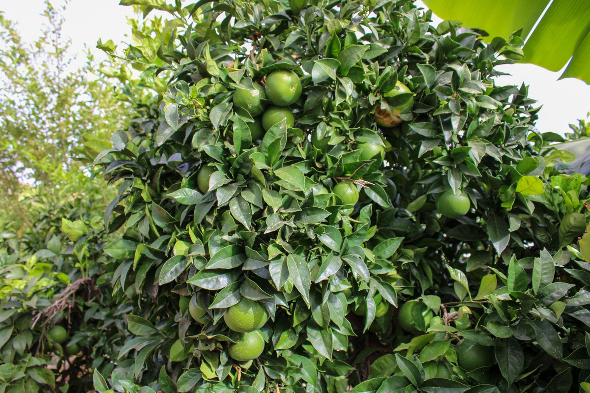 Property main view 30