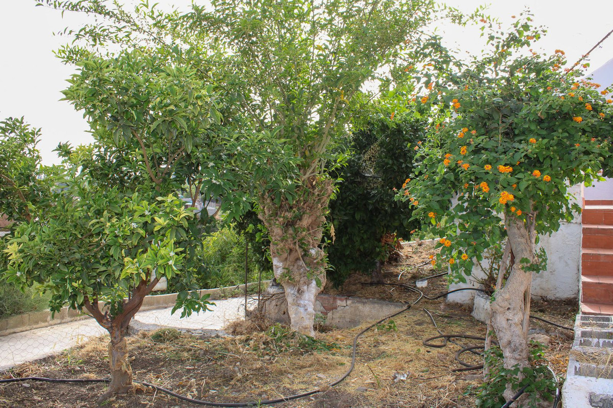 Property main view 31