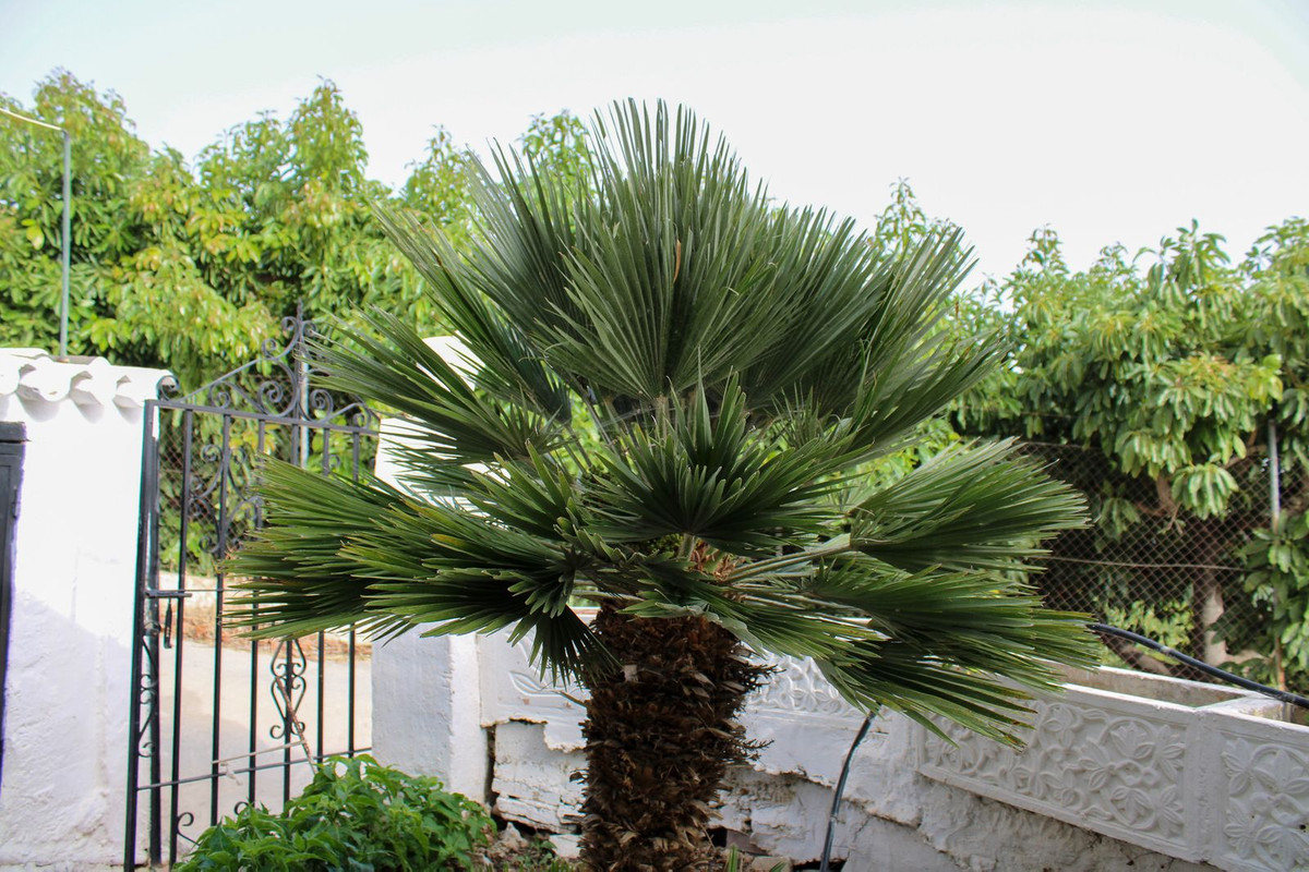 Property main view 34