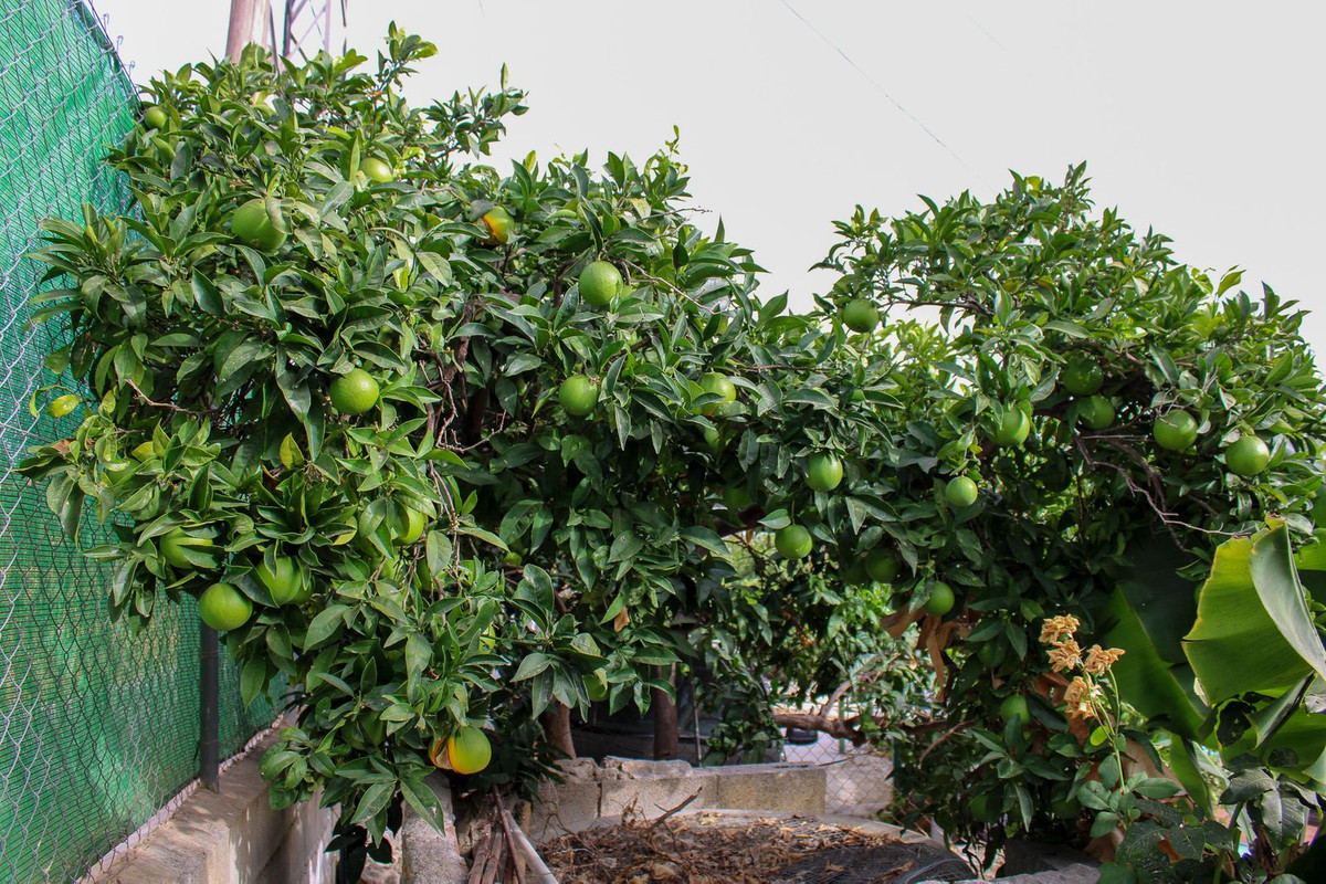 Property main view 44