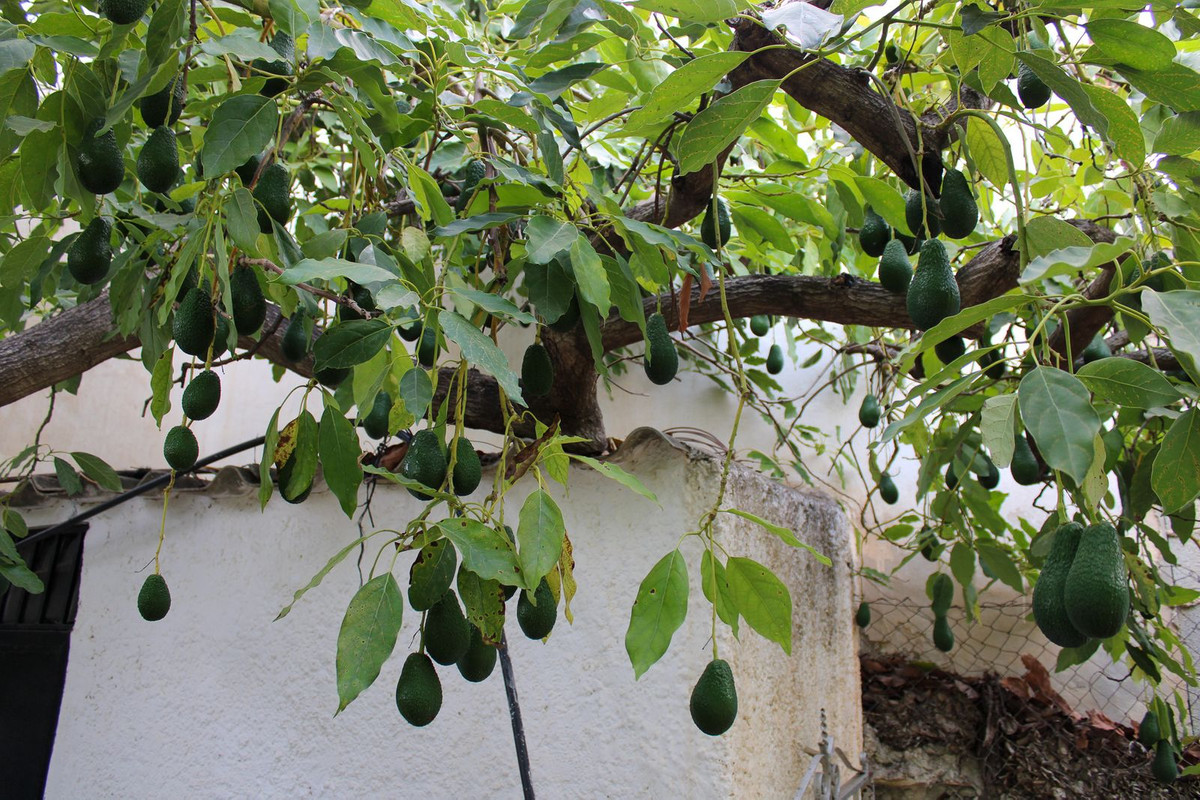 Property main view 45