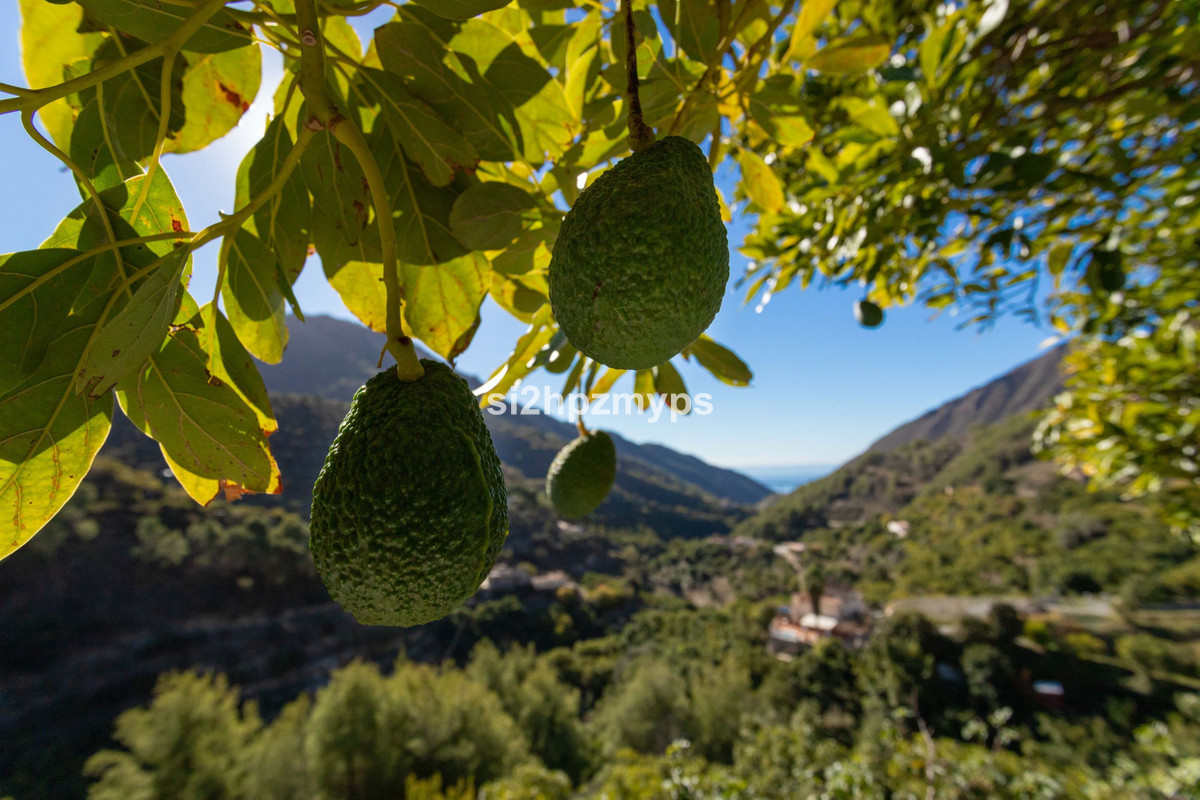 Vrijstaande Villa te koop in Nerja | 1 slaapkamers H5227588