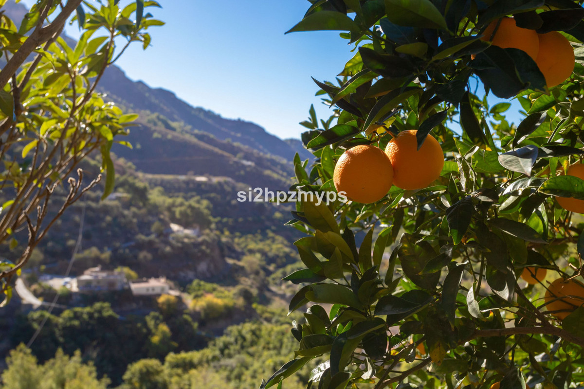 Vrijstaande Villa te koop in Nerja | 1 slaapkamers H5227588