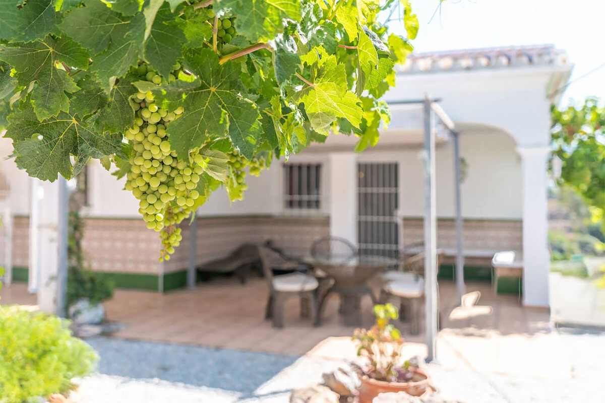 Property main view 30