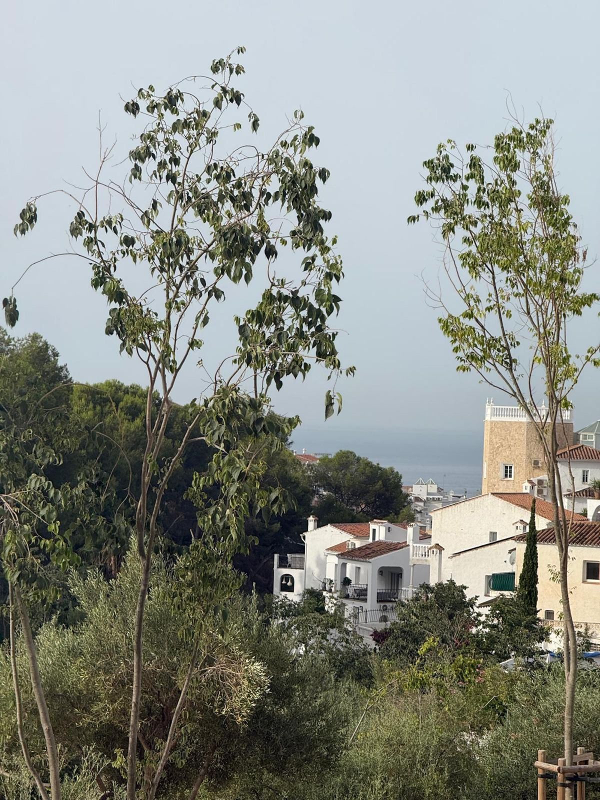 Property main view 33