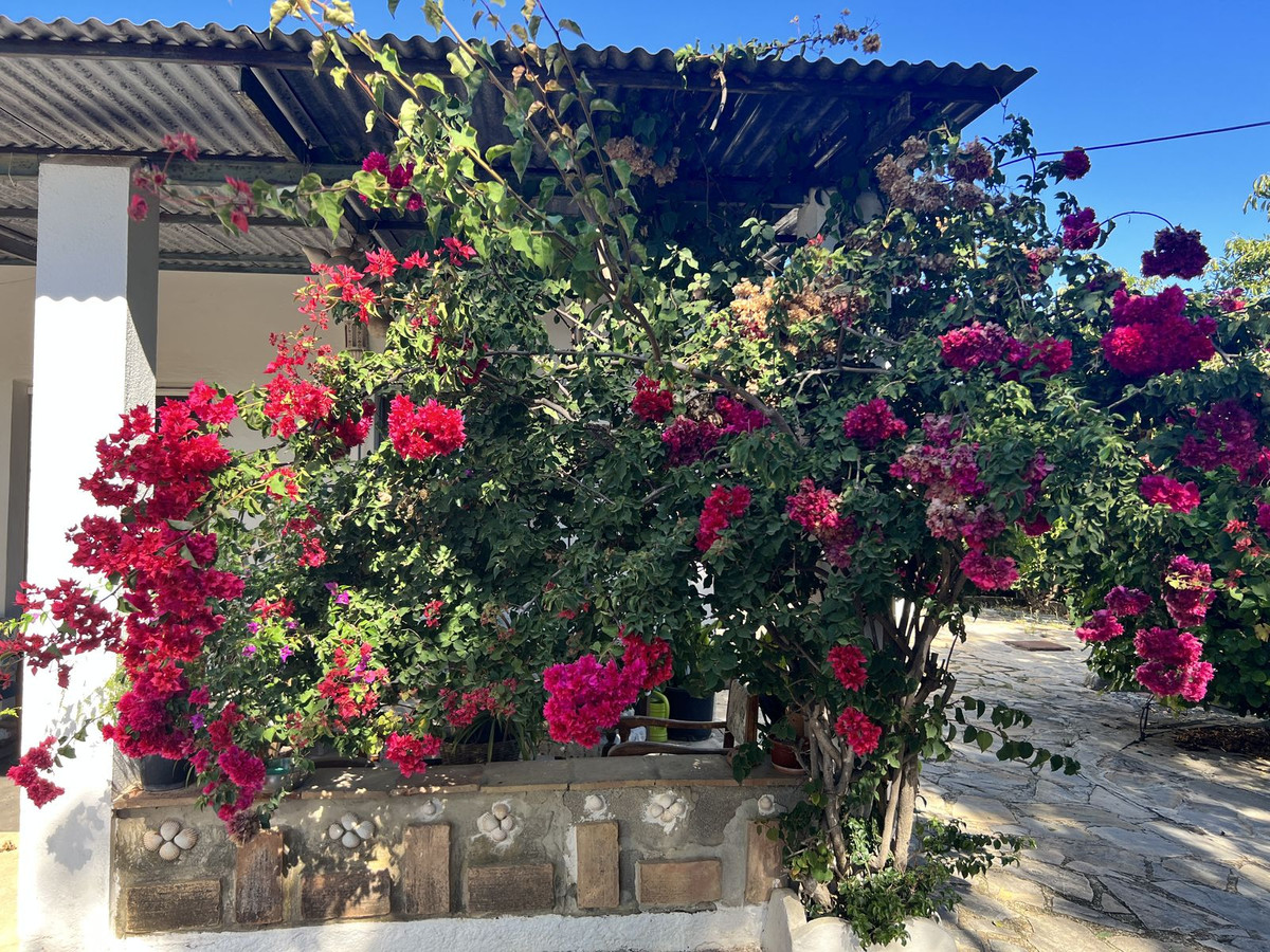 Property main view 17