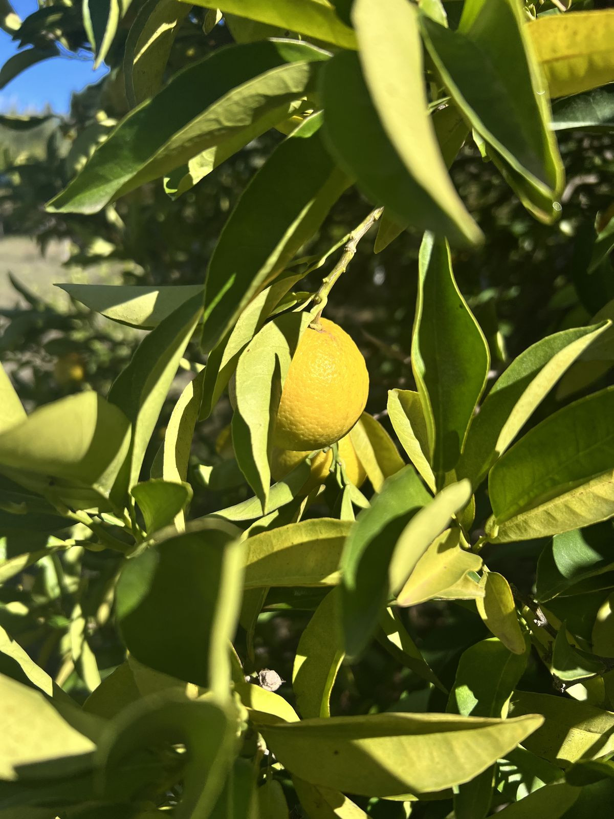 Property main view 18