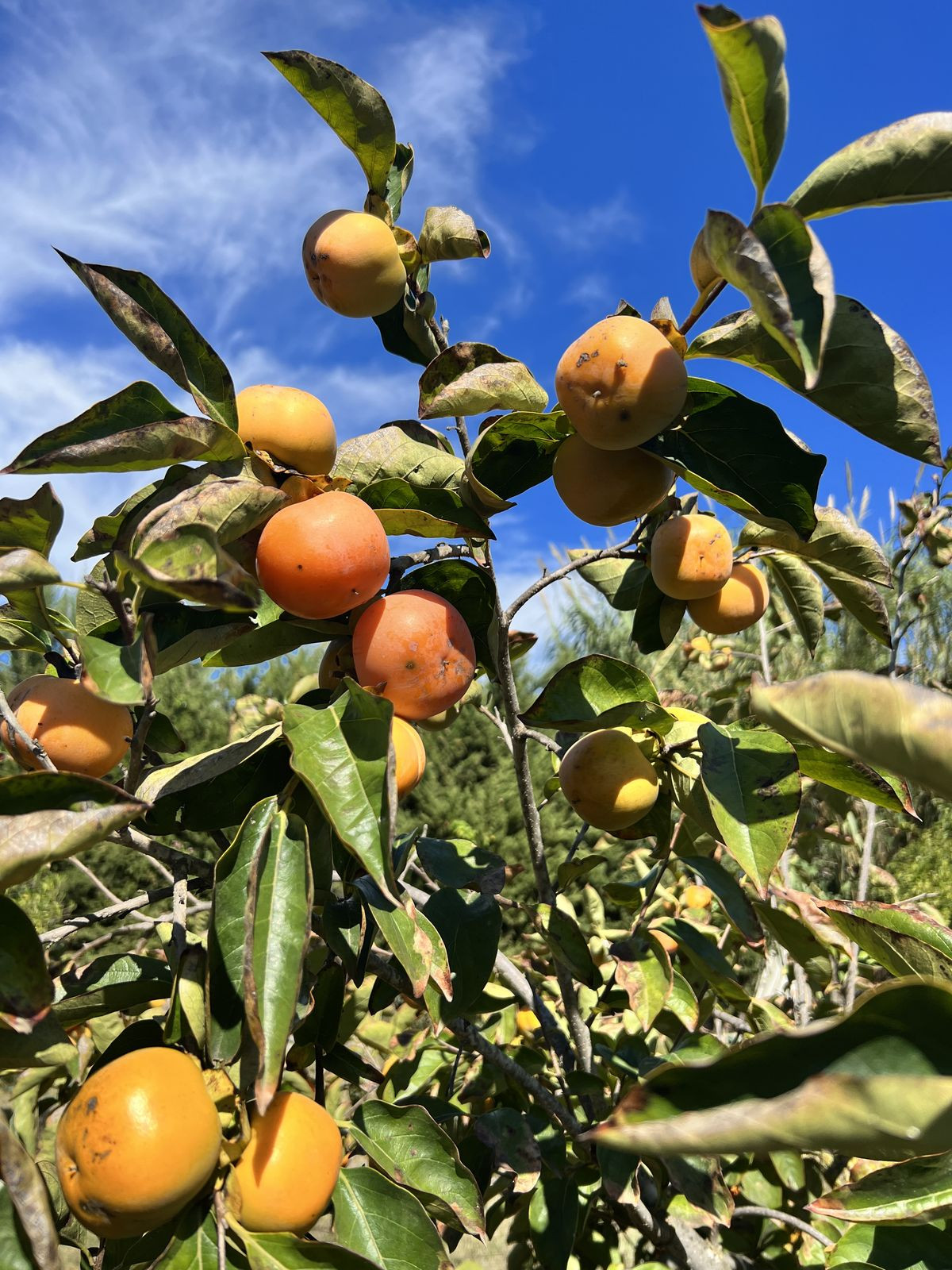 Property main view 22