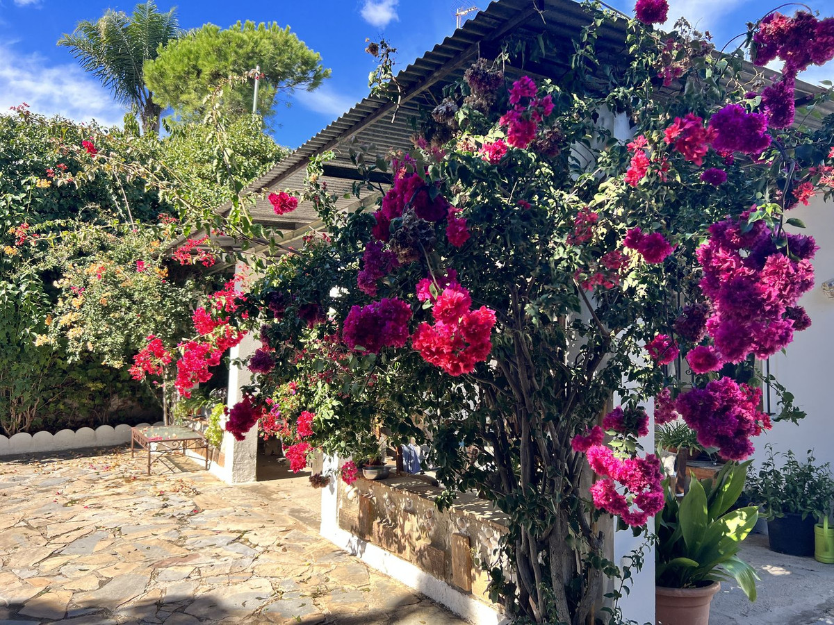 Property main view 6