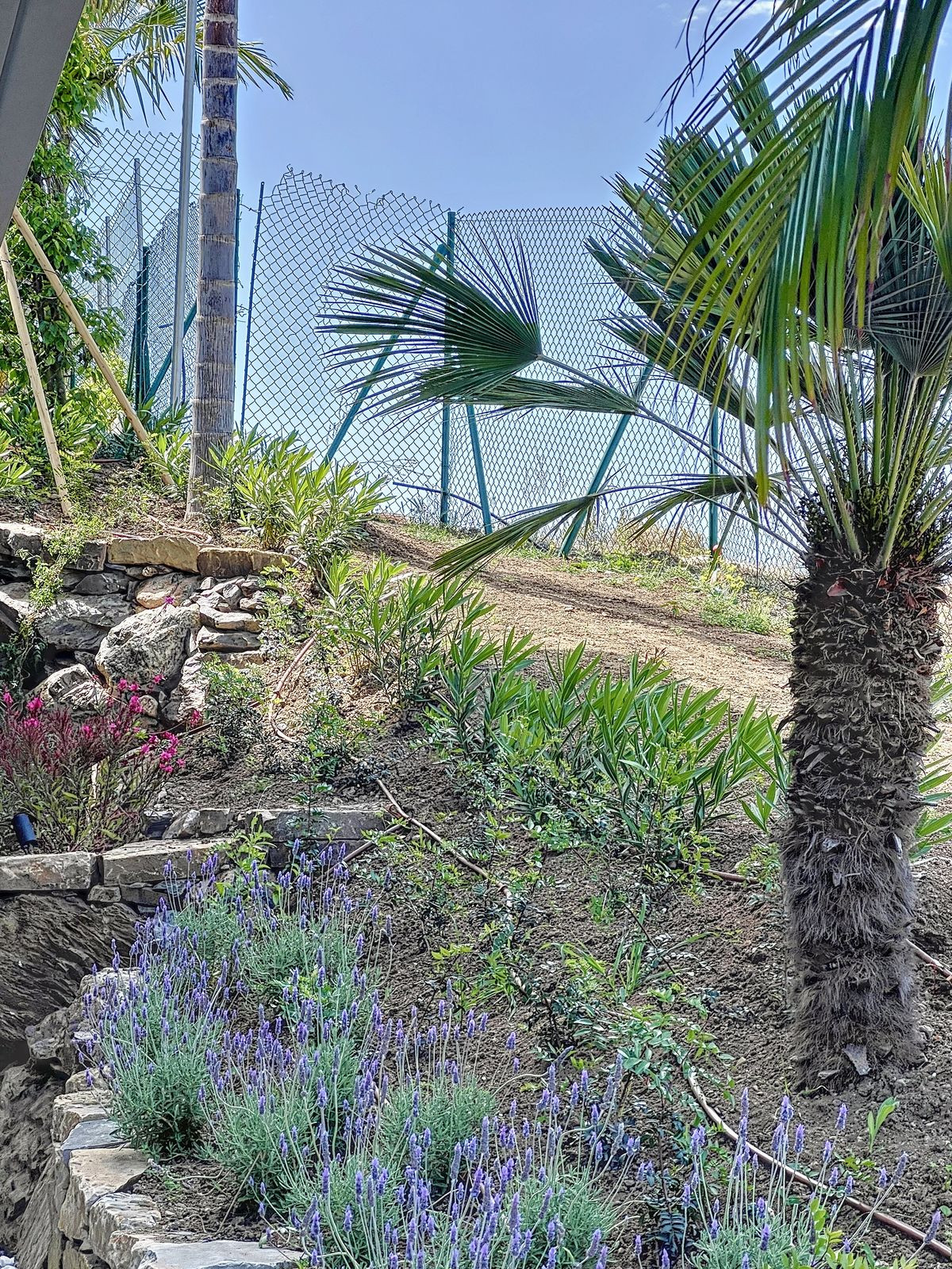 Property main view 30