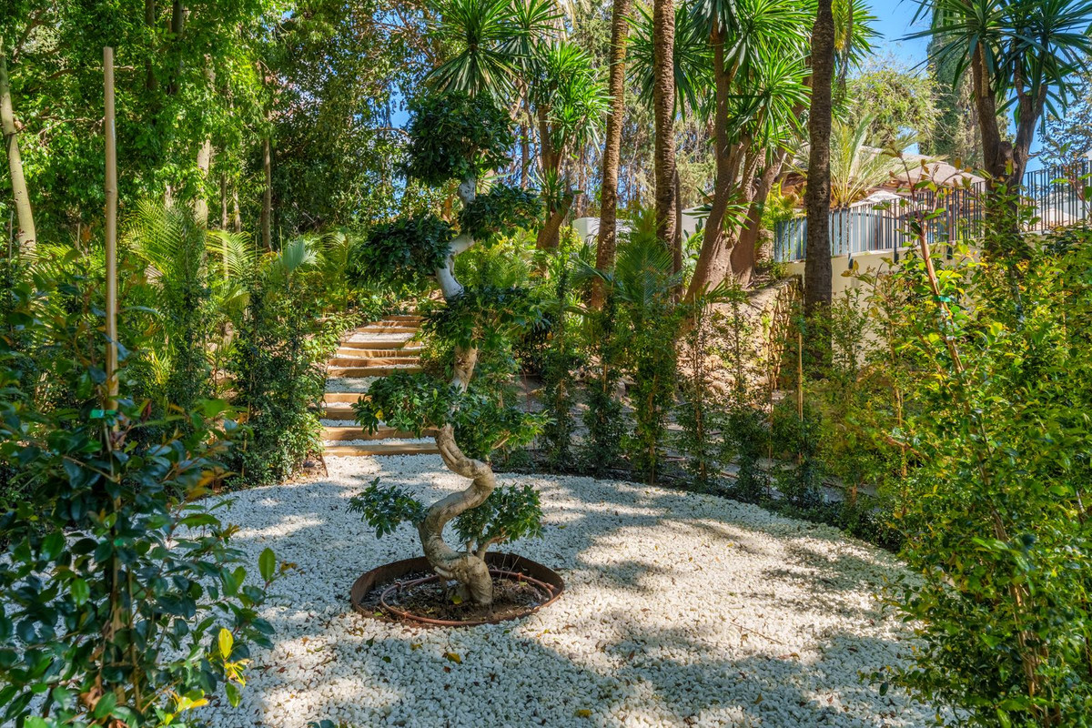 Property main view 37