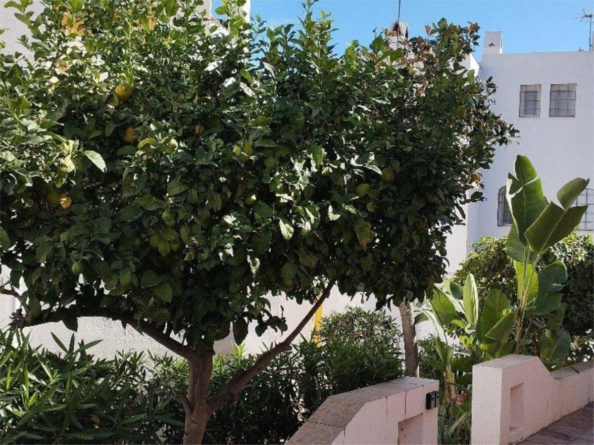 Property main view 19