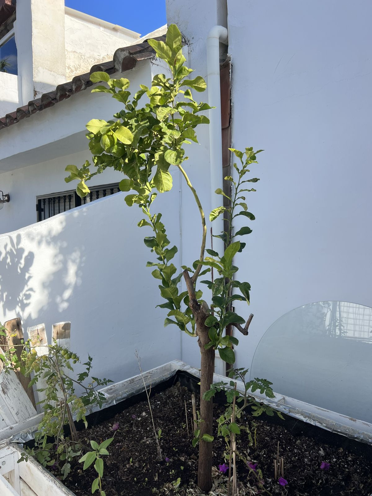 Property main view 18