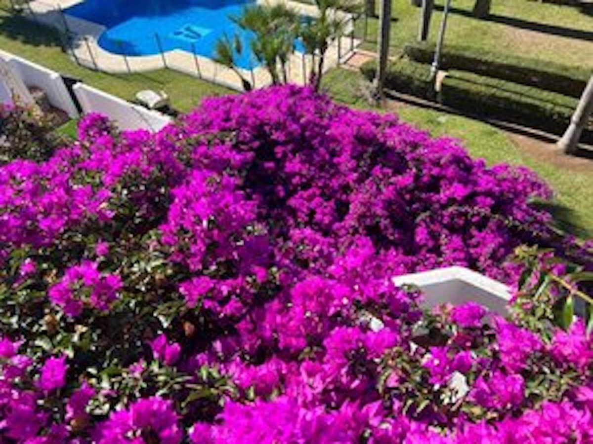 Property main view 47