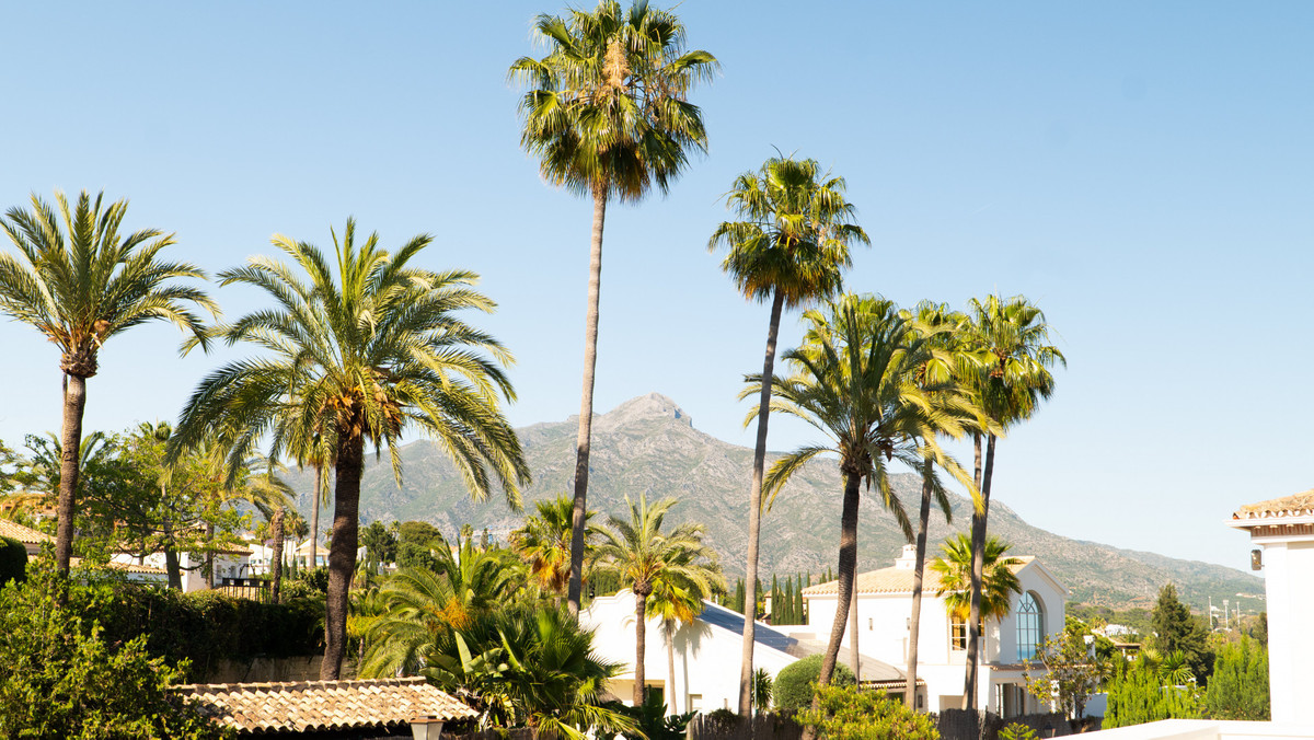 Property main view 18