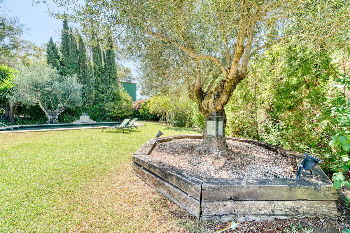 Property main view 36