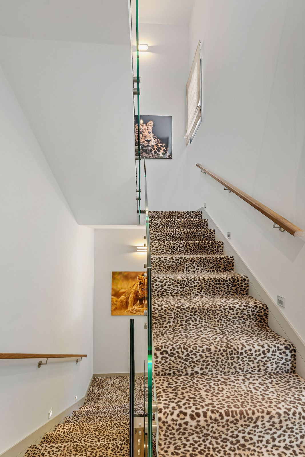 Property main view 41