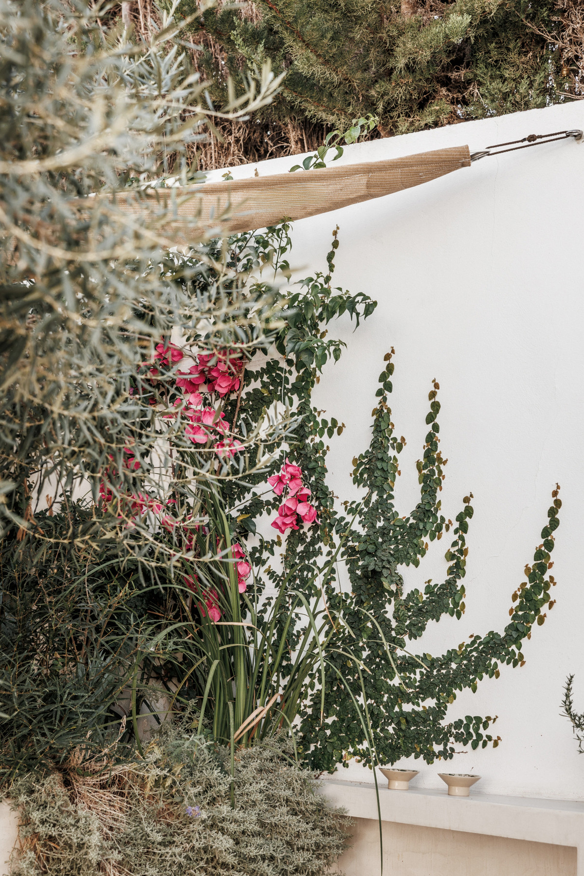 Property main view 31