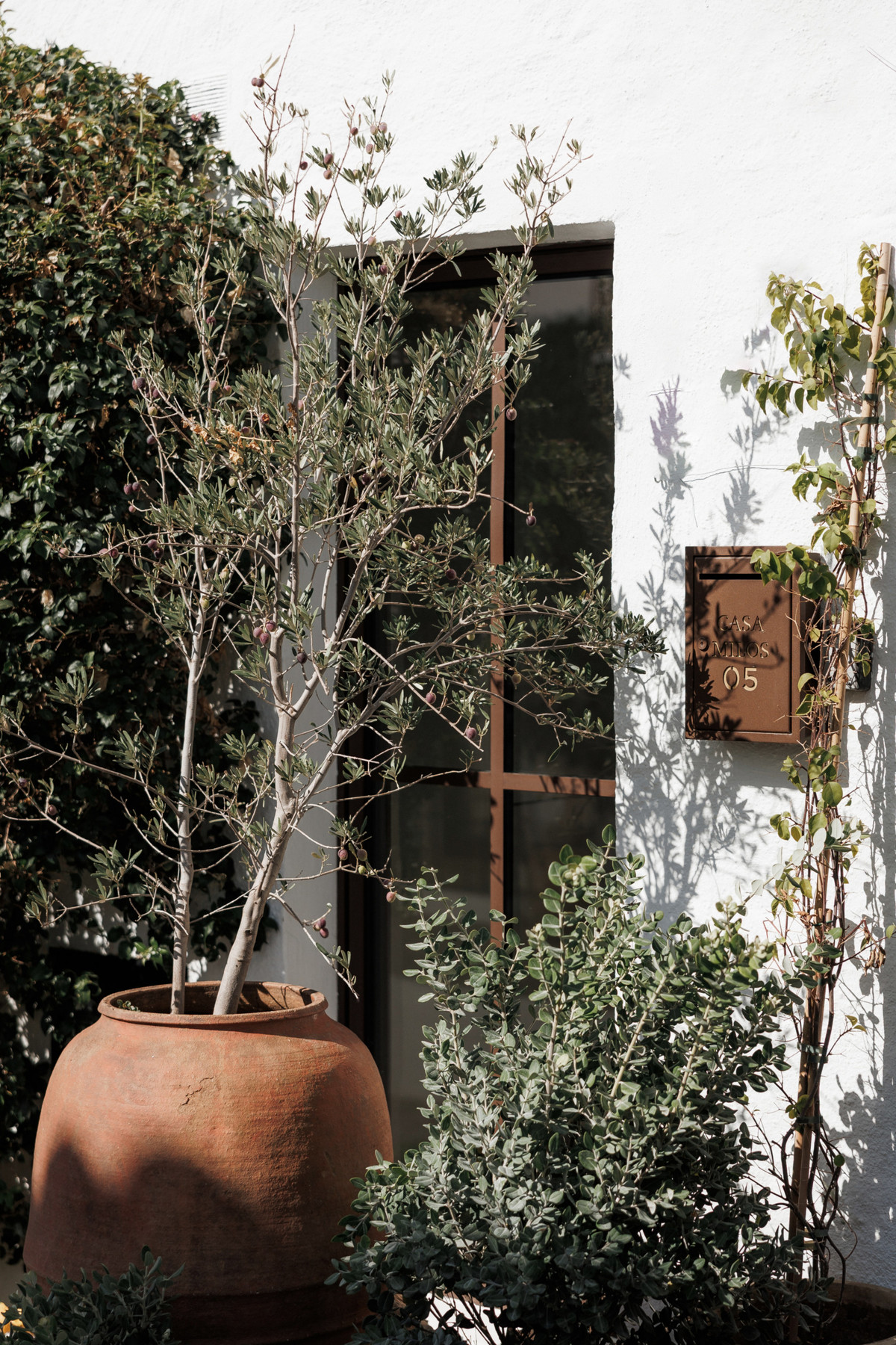 Property main view 32