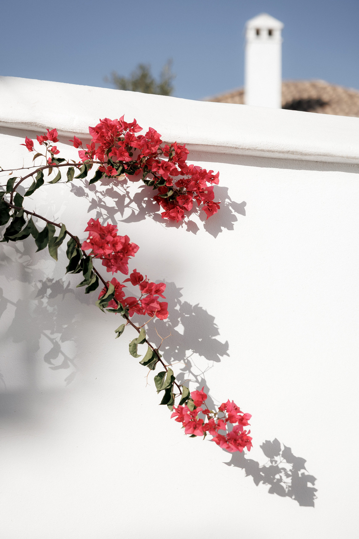 Property main view 9