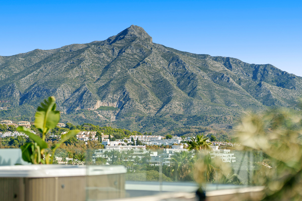 Property main view 45