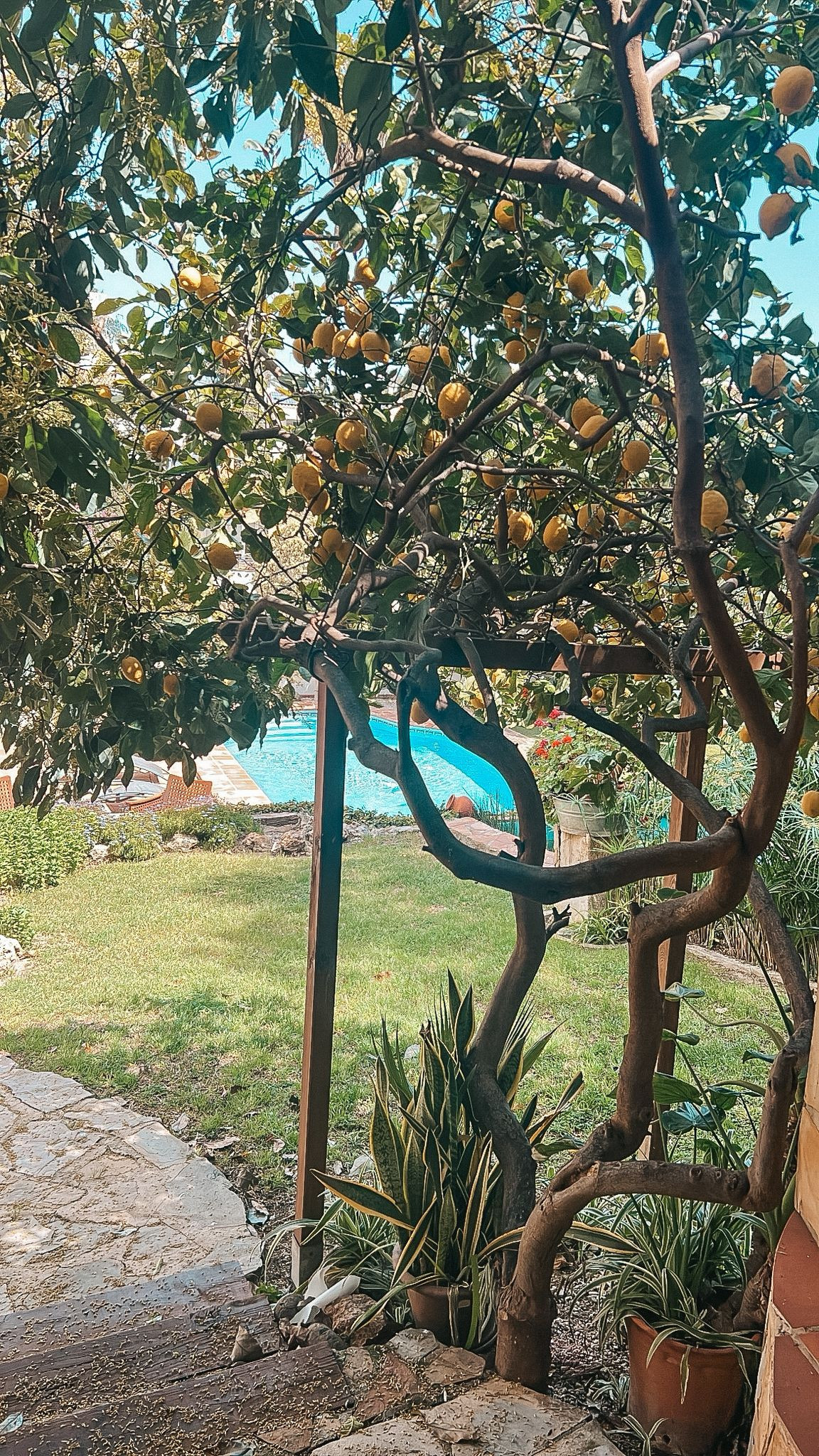 Huis te koop in Nueva Andalucía | 5 slaapkamers H5347573