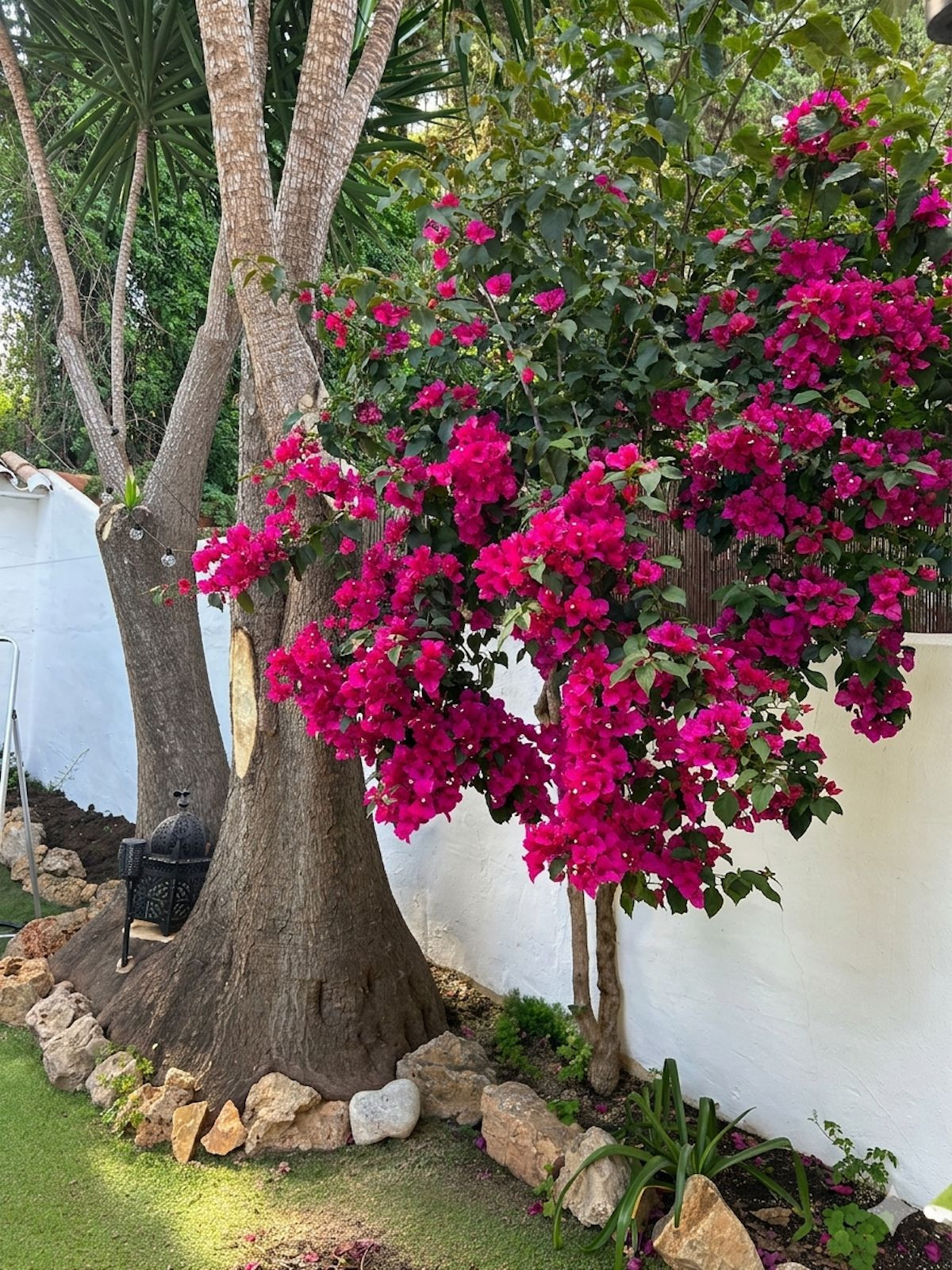 Property main view 15