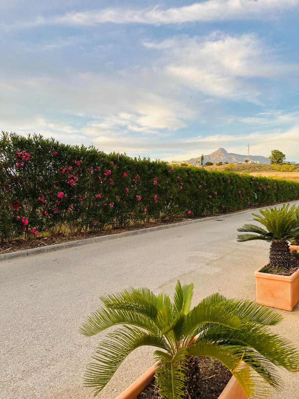 Huis te koop in Nueva Andalucía | 3 slaapkamers H5375230