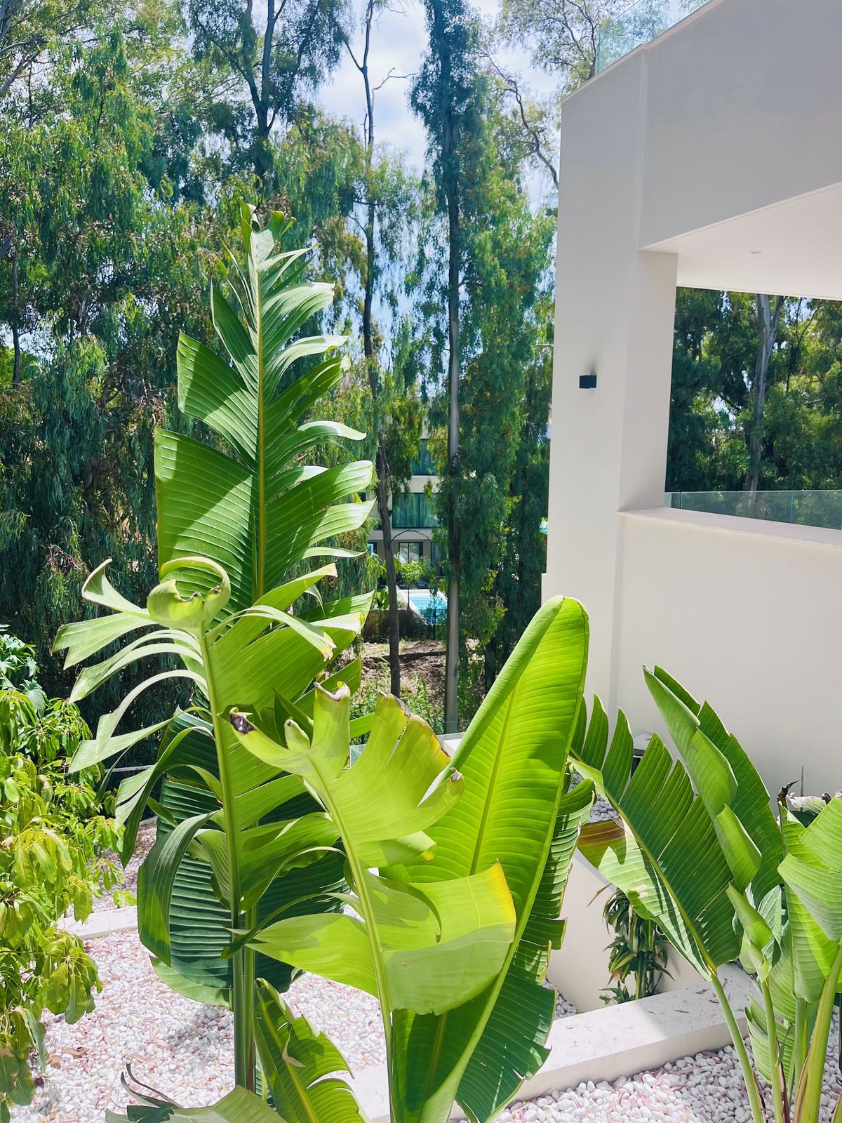 Huis te koop in Nueva Andalucía | 5 slaapkamers H5451865