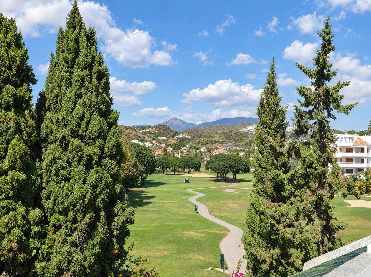 Huis te koop in Nueva Andalucía | 4 slaapkamers H5523250