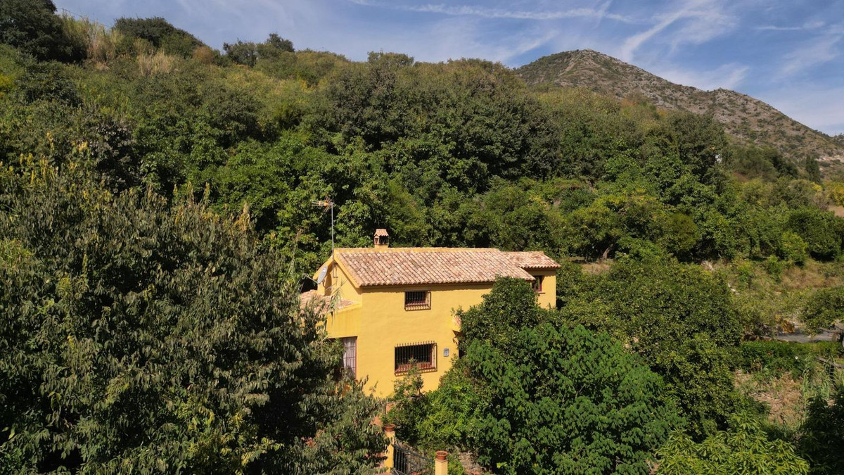 Property main view 19