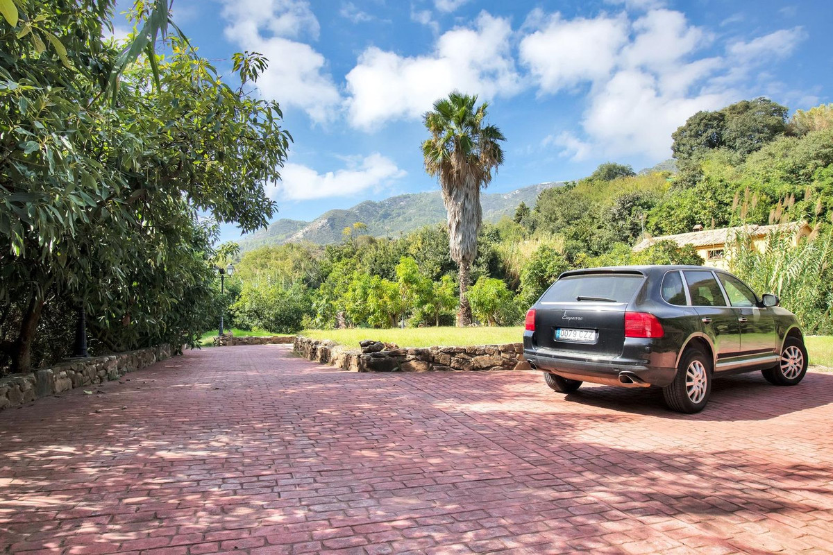 Property main view 50