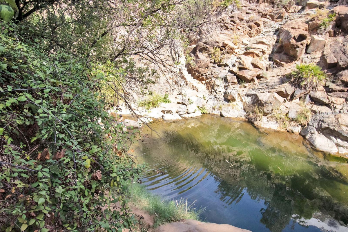 Property main view 71