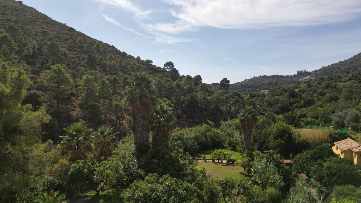 Property main view 82