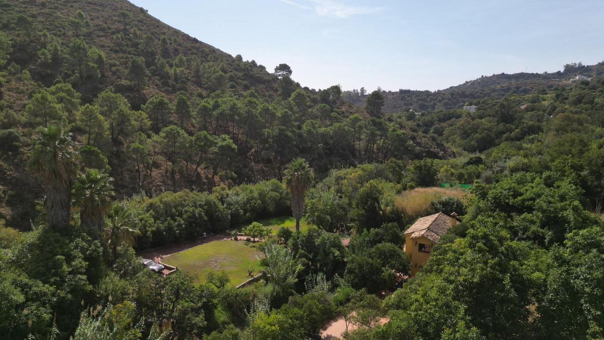 Property main view 84