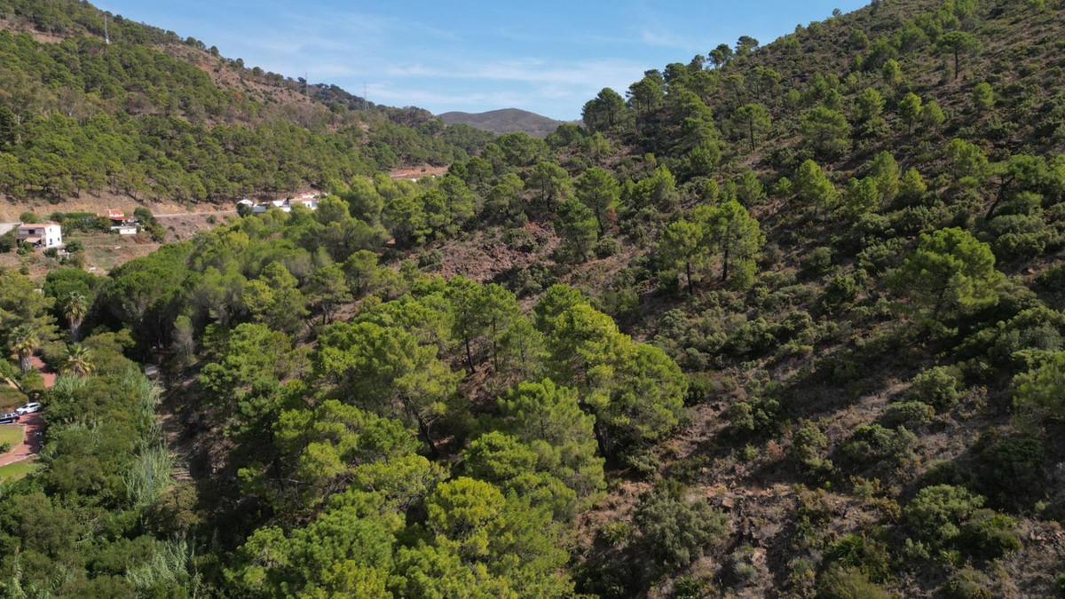 Property main view 86