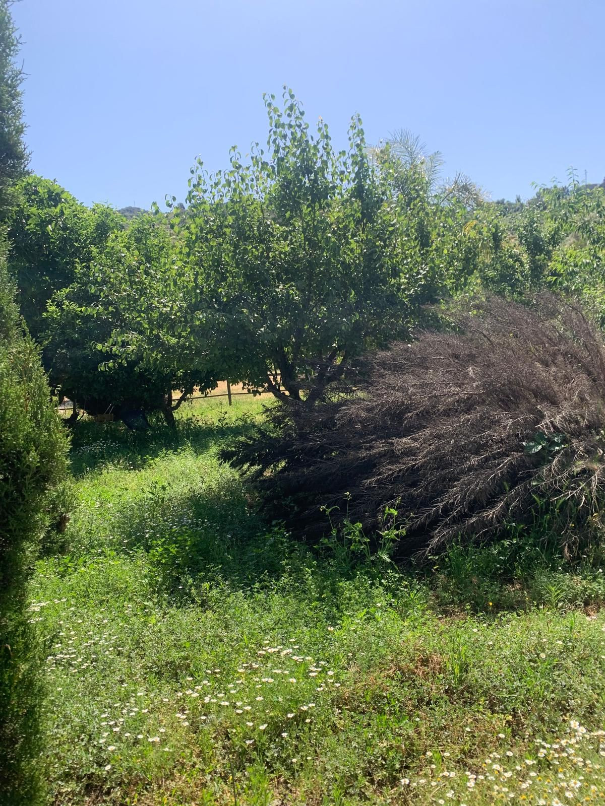 Finca - Cortijo te koop in Ojén | 1 slaapkamers H5064667
