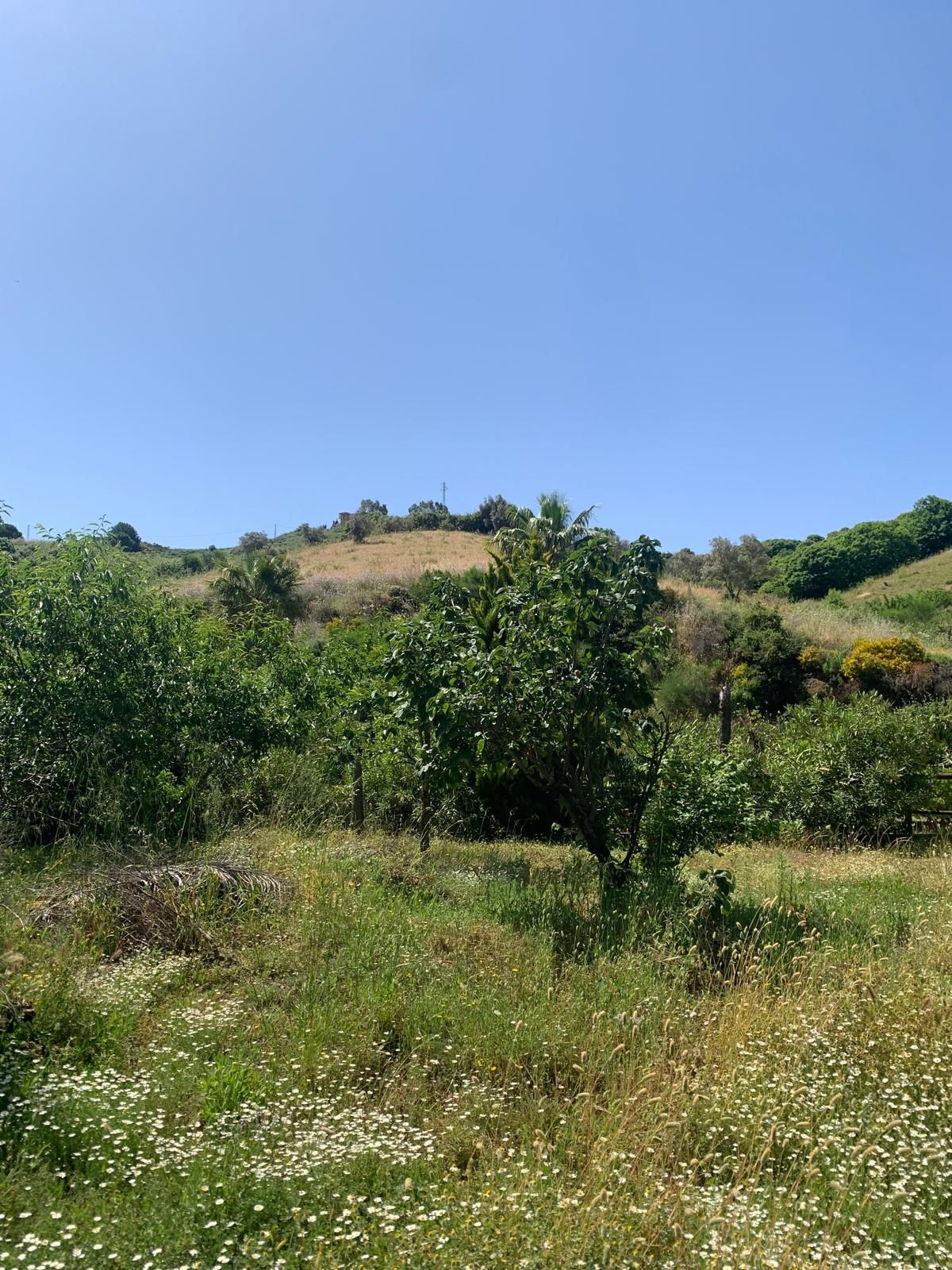 Finca - Cortijo te koop in Ojén | 1 slaapkamers H5064667