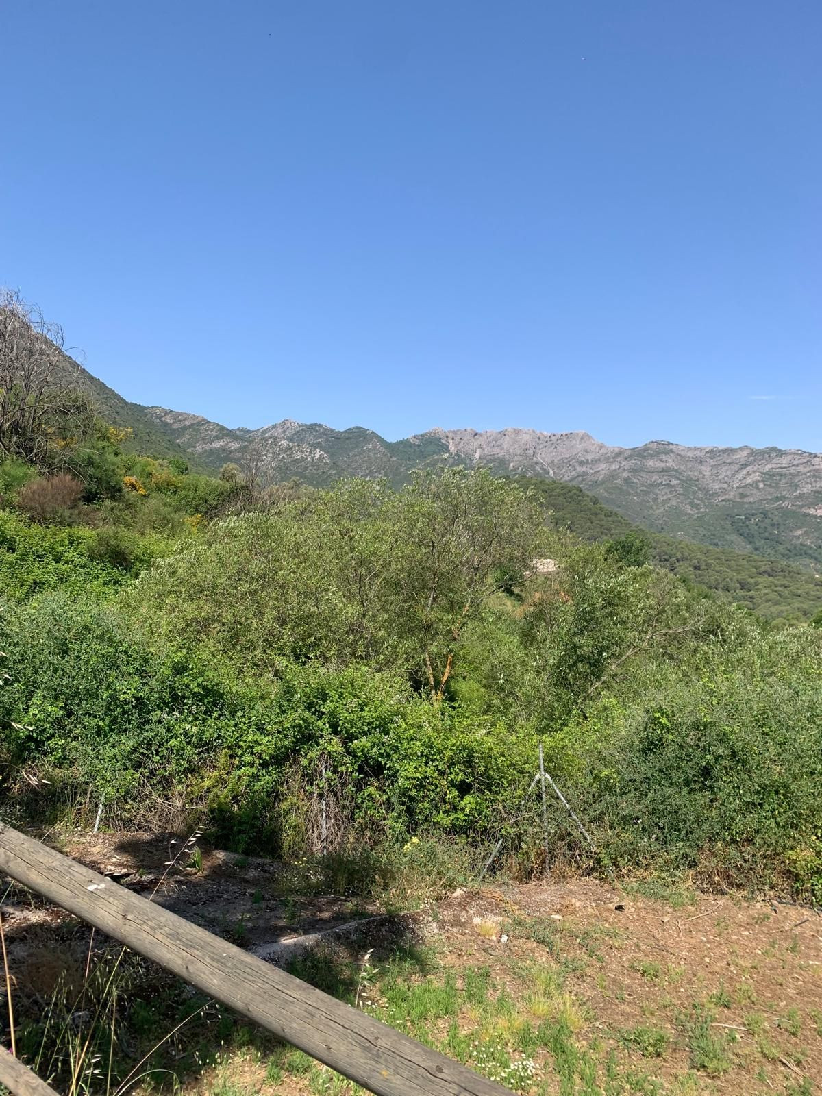 Finca - Cortijo te koop in Ojén | 1 slaapkamers H5064667