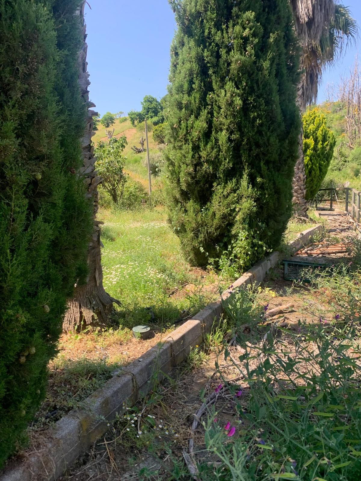 Finca - Cortijo te koop in Ojén | 1 slaapkamers H5064667