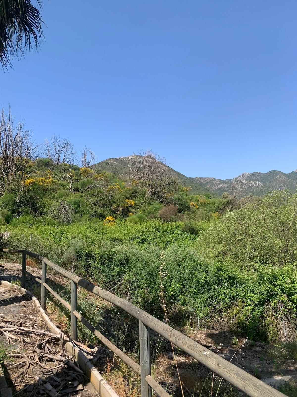 Finca - Cortijo te koop in Ojén | 1 slaapkamers H5064667