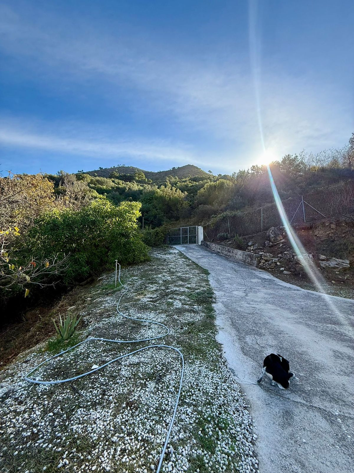 Property main view 2