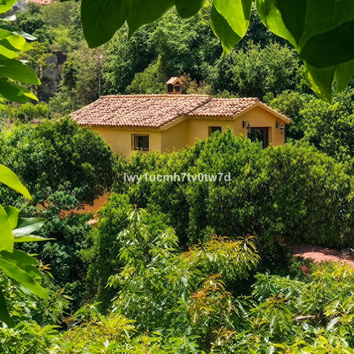 Property main view 9