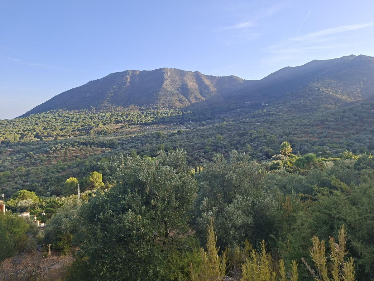 Property main view 2