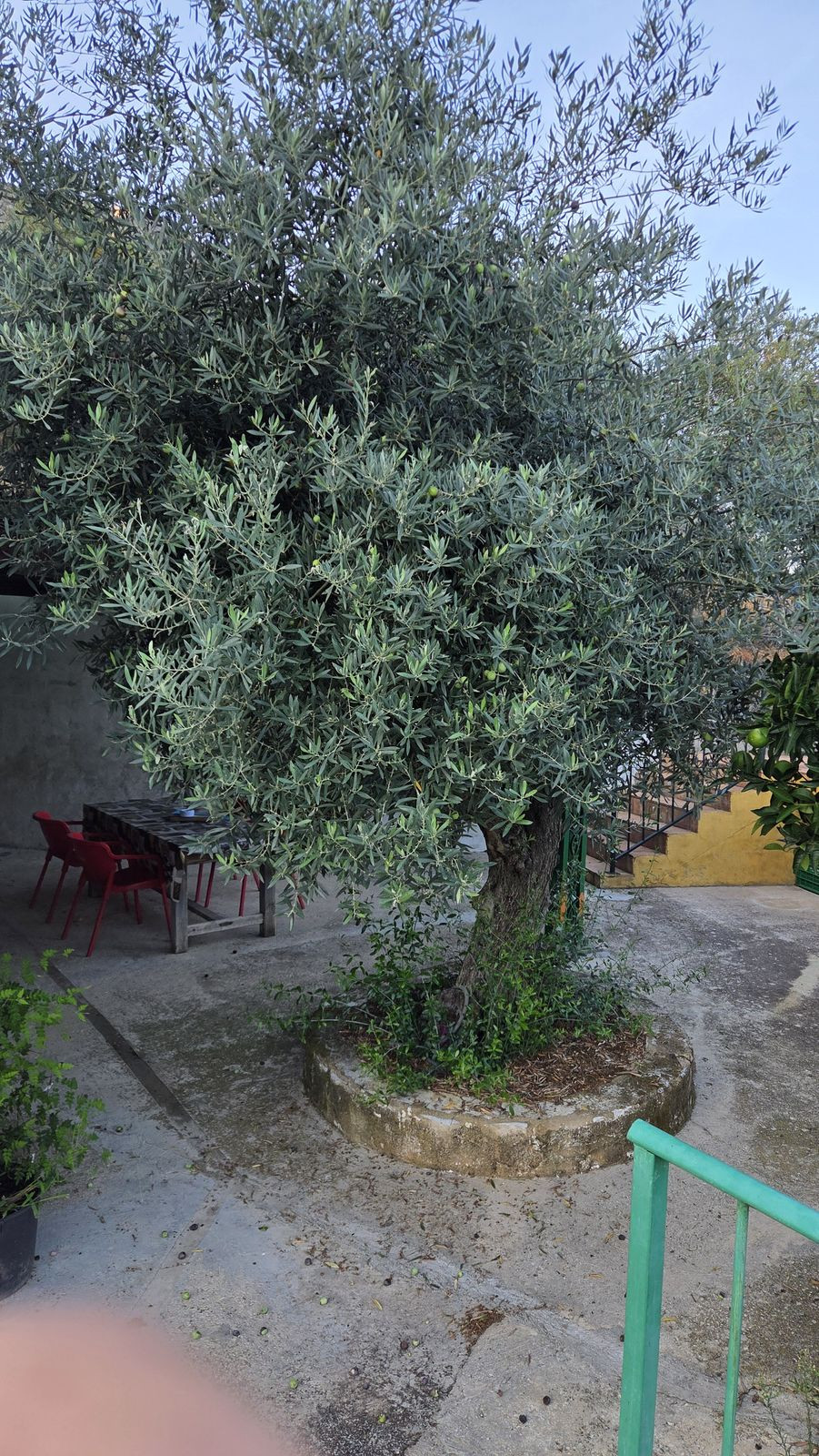 Property main view 5