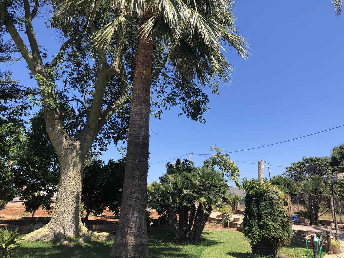 Vrijstaande Villa te koop in Ondara | 2 slaapkamers H5473369