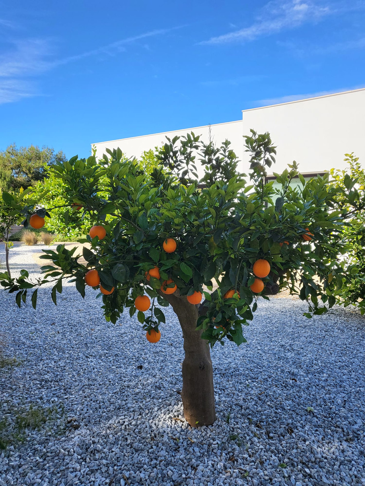 Property main view 11