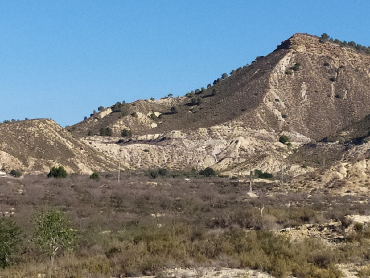 Property main view 2