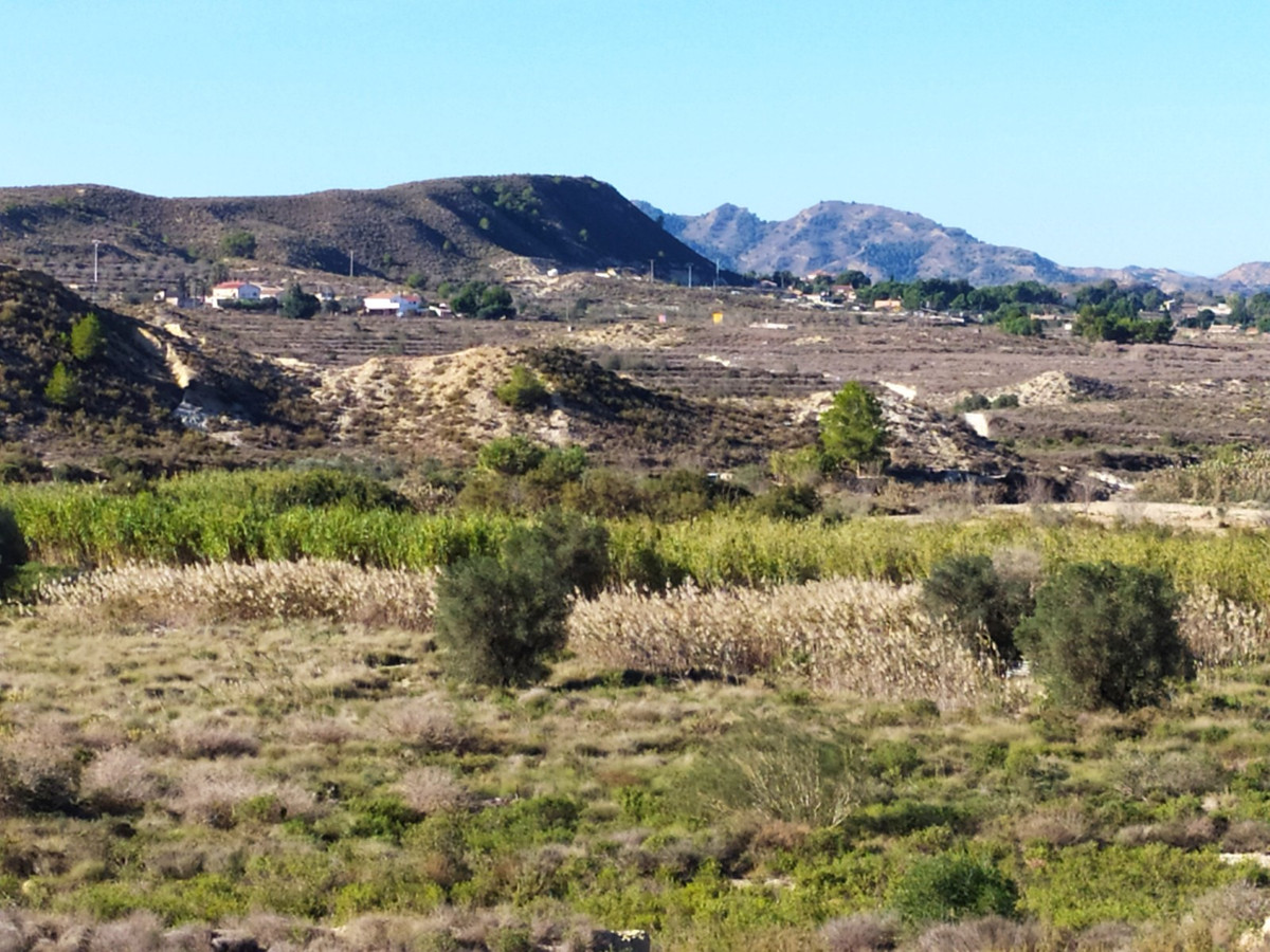 Property main view 3